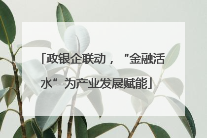 政银企联动，“金融活水”为产业发展赋能